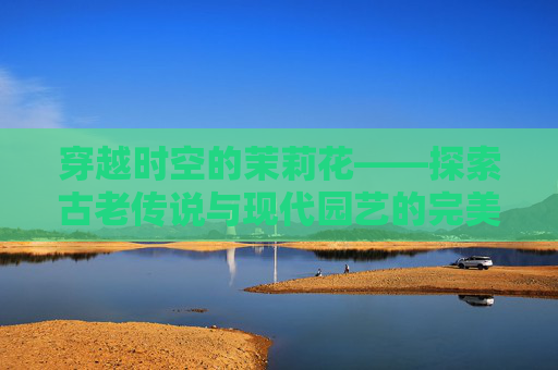 穿越时空的茉莉花——探索古老传说与现代园艺的完美融合,cf茉莉m4a1怎么获得