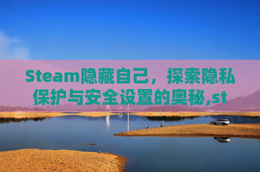 Steam隐藏自己，探索隐私保护与安全设置的奥秘,steam可以隐藏好友吗