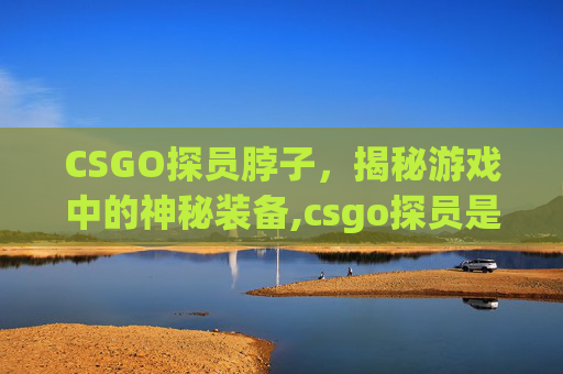 CSGO探员脖子，揭秘游戏中的神秘装备,csgo探员是干嘛的