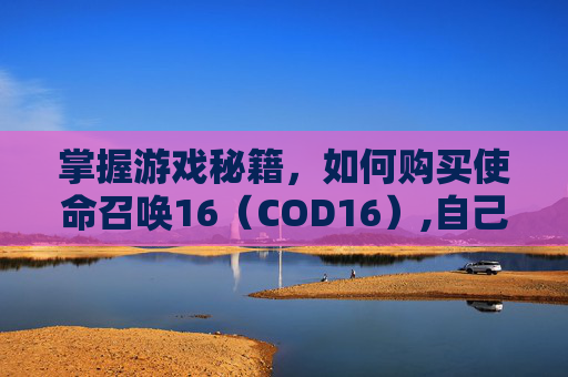 掌握游戏秘籍，如何购买使命召唤16（COD16）,自己怎么购买交强险和车船税