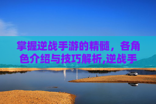掌握逆战手游的精髓，各角色介绍与技巧解析,逆战手游玩法介绍