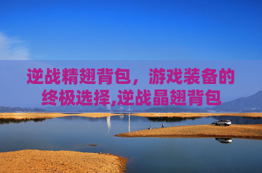 逆战精翅背包，游戏装备的终极选择,逆战晶翅背包