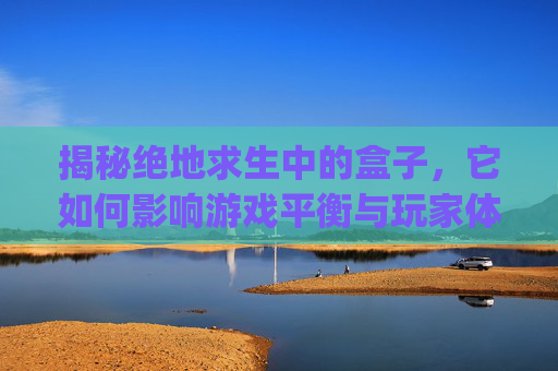 揭秘绝地求生中的盒子，它如何影响游戏平衡与玩家体验？,pubg盒子叫什么名字