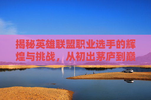 揭秘英雄联盟职业选手的辉煌与挑战，从初出茅庐到巅峰对决,查lol职业选手生涯数据