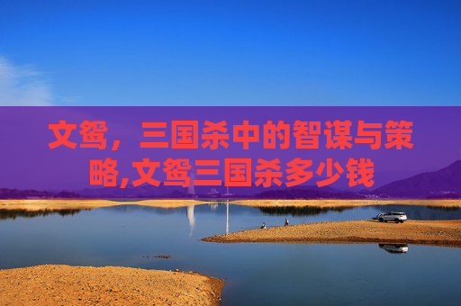 文鸳，三国杀中的智谋与策略,文鸳三国杀多少钱