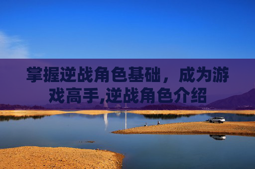 掌握逆战角色基础，成为游戏高手,逆战角色介绍