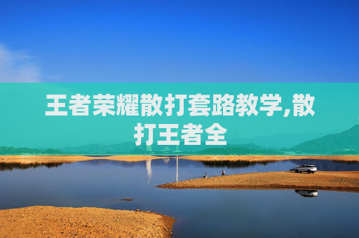 王者荣耀散打套路教学,散打王者全