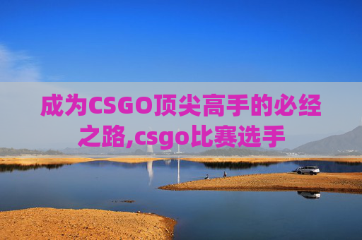 成为CSGO顶尖高手的必经之路,csgo比赛选手