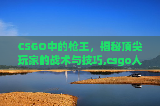 CSGO中的枪王，揭秘顶尖玩家的战术与技巧,csgo人物介绍