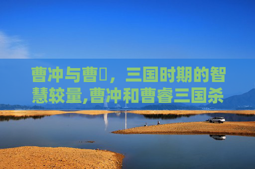 曹冲与曹叡，三国时期的智慧较量,曹冲和曹睿三国杀的区别