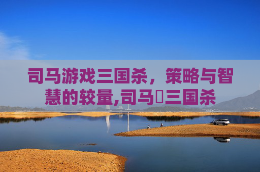 司马游戏三国杀，策略与智慧的较量,司马冏三国杀