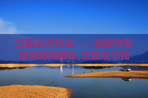 三国杀华佗主——策略与智慧的完美结合,三国杀华佗主公系列视频