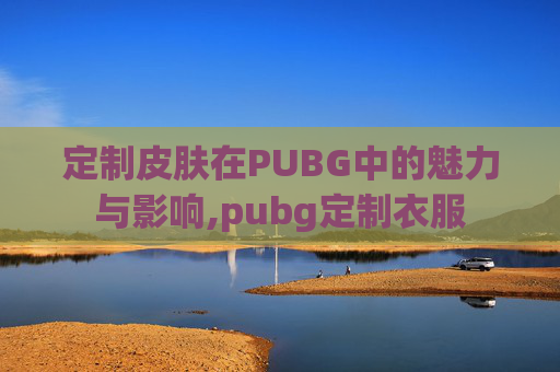 定制皮肤在PUBG中的魅力与影响,pubg定制衣服