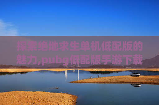 探索绝地求生单机低配版的魅力,pubg低配版手游下载