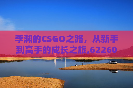 李渊的CSGO之路，从新手到高手的成长之旅,6226080100474136李渊