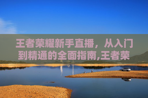 王者荣耀新手直播，从入门到精通的全面指南,王者荣耀新手直播话术
