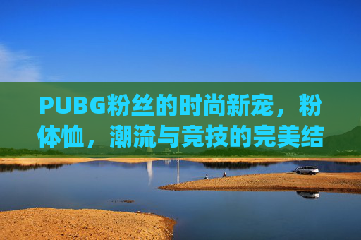 PUBG粉丝的时尚新宠，粉体恤，潮流与竞技的完美结合,pubgchzzkt恤