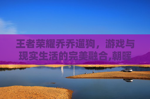 王者荣耀乔乔遛狗，游戏与现实生活的完美融合,朝晖一区二手房
