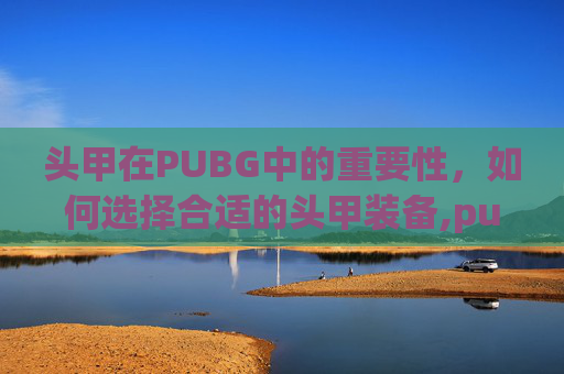 头甲在PUBG中的重要性，如何选择合适的头甲装备,pubg头甲减伤