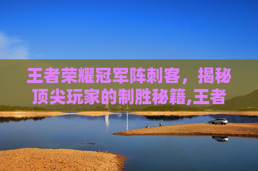 王者荣耀冠军阵刺客，揭秘顶尖玩家的制胜秘籍,王者荣耀冠军阵刺客怎么出装