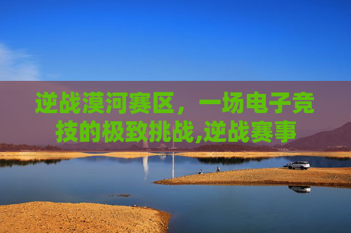 逆战漠河赛区，一场电子竞技的极致挑战,逆战赛事
