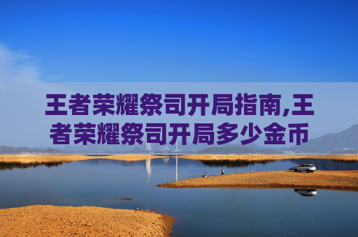 王者荣耀祭司开局指南,王者荣耀祭司开局多少金币