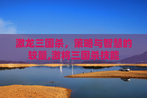 激龙三国杀，策略与智慧的较量,激将三国杀技能