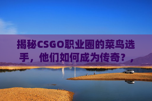 揭秘CSGO职业圈的菜鸟选手，他们如何成为传奇？,csgo厉害的职业选手