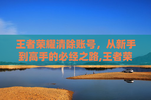 王者荣耀清除账号，从新手到高手的必经之路,王者荣耀清除账号怎么清除
