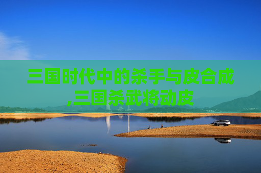 三国时代中的杀手与皮合成,三国杀武将动皮