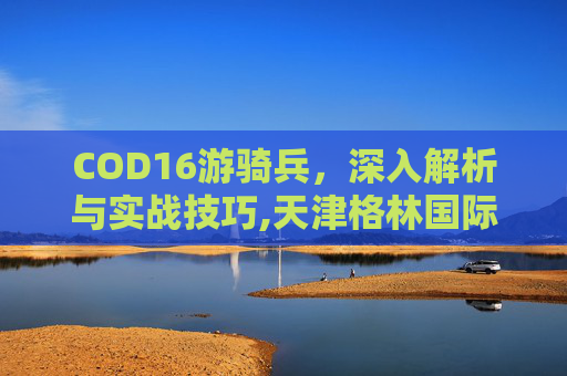 COD16游骑兵，深入解析与实战技巧,天津格林国际幼儿园学费