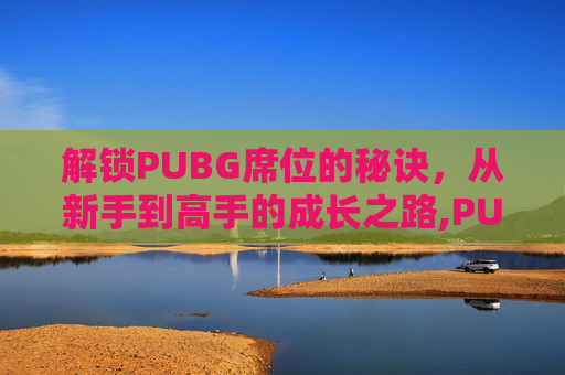 解锁PUBG席位的秘诀，从新手到高手的成长之路,PUBG段位