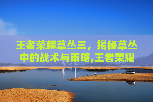 王者荣耀草丛三，揭秘草丛中的战术与策略,王者荣耀草丛三姐妹头像