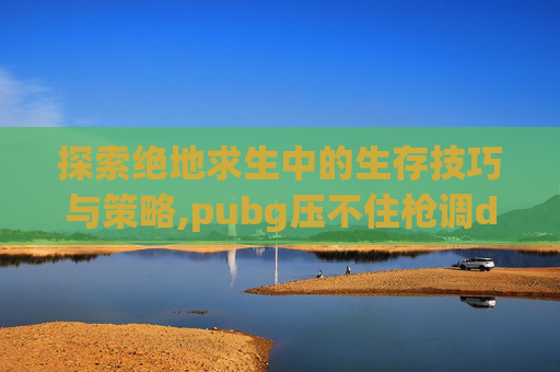 探索绝地求生中的生存技巧与策略,pubg压不住枪调dip