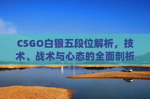 CSGO白银五段位解析，技术、战术与心态的全面剖析,csgo白银一是什么水平