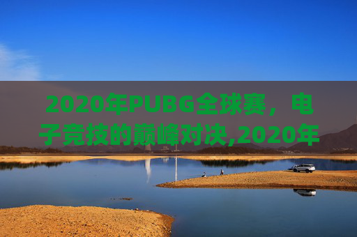 2020年PUBG全球赛，电子竞技的巅峰对决,2020年pubg世界赛