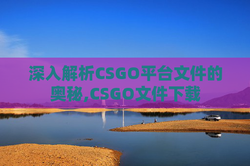 深入解析CSGO平台文件的奥秘,CSGO文件下载