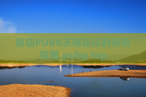 解锁PUBG天梯排位的终极指南,pubg top