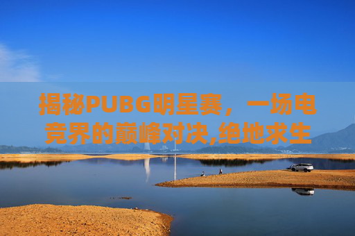 揭秘PUBG明星赛，一场电竞界的巅峰对决,绝地求生全明星比赛视频