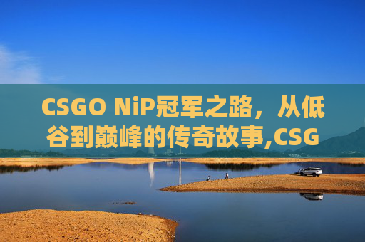 CSGO NiP冠军之路，从低谷到巅峰的传奇故事,CSGO冠军