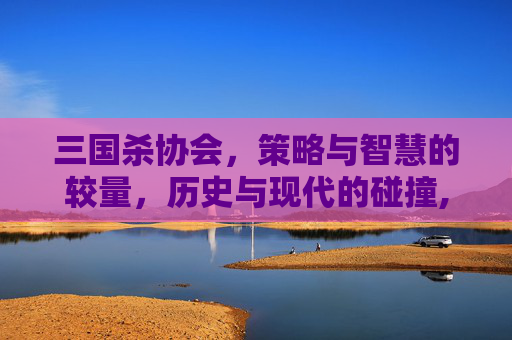 三国杀协会，策略与智慧的较量，历史与现代的碰撞,三国杀协力介绍