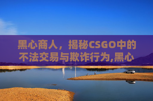 黑心商人，揭秘CSGO中的不法交易与欺诈行为,黑心商人是什么意思