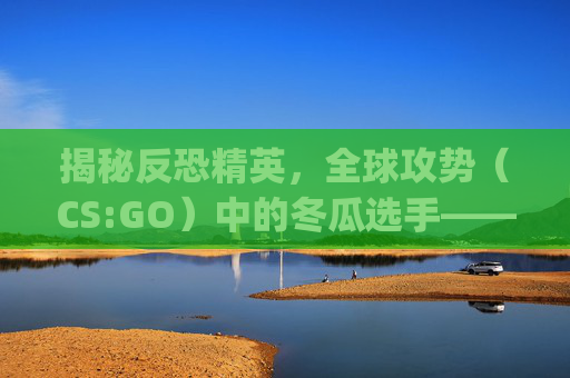 揭秘反恐精英，全球攻势（CS:GO）中的冬瓜选手——年龄与成长之路,csgo冬瓜强多大年纪