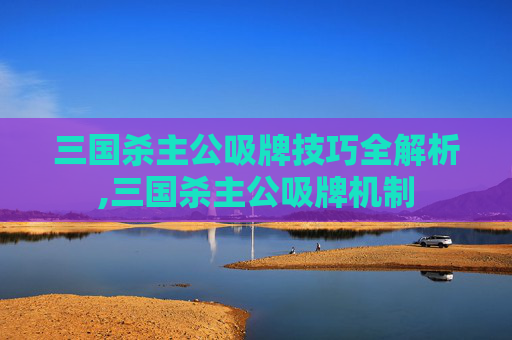 三国杀主公吸牌技巧全解析,三国杀主公吸牌机制