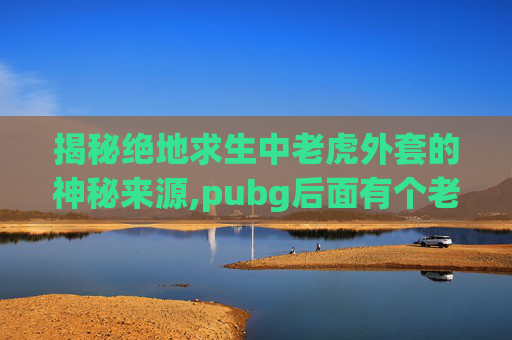 揭秘绝地求生中老虎外套的神秘来源,pubg后面有个老虎的衣服