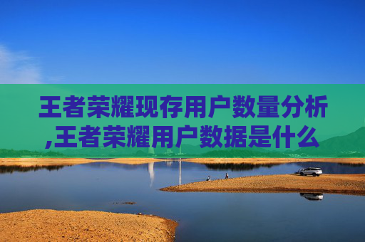 王者荣耀现存用户数量分析,王者荣耀用户数据是什么