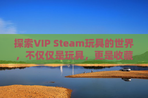 探索VIP Steam玩具的世界，不仅仅是玩具，更是收藏与情感的寄托,stem玩具推荐