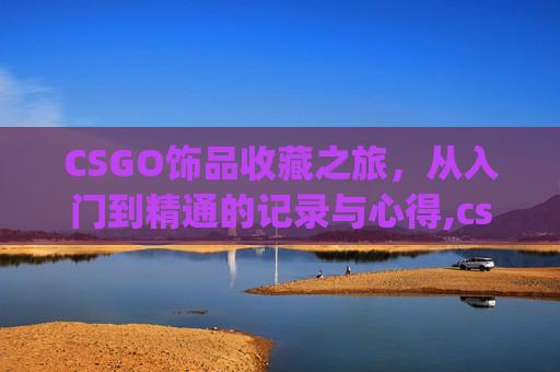 CSGO饰品收藏之旅，从入门到精通的记录与心得,csgo查饰品历史拥有者