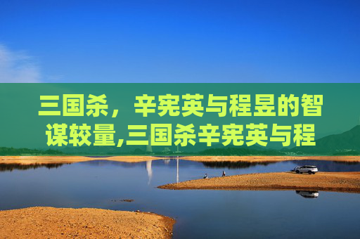 三国杀，辛宪英与程昱的智谋较量,三国杀辛宪英与程昱哪个好