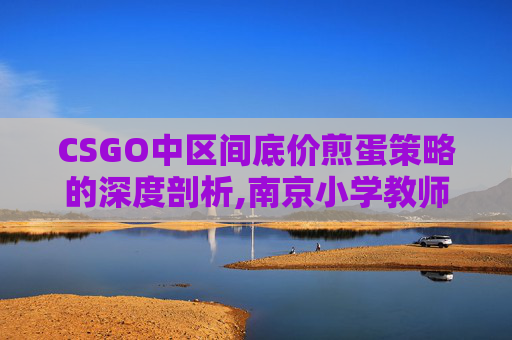 CSGO中区间底价煎蛋策略的深度剖析,南京小学教师